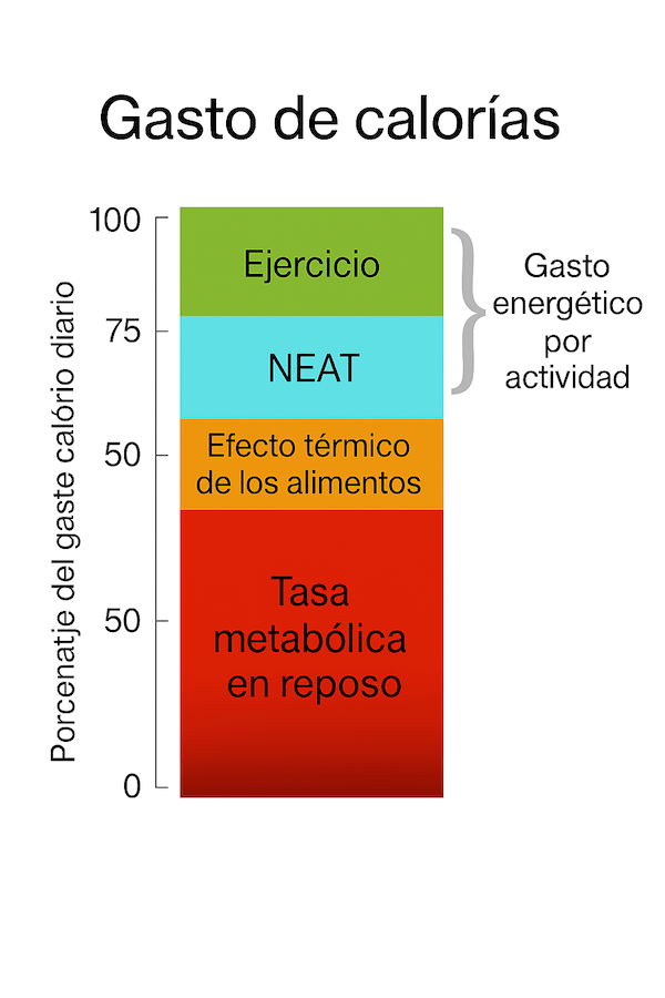 que es el neat