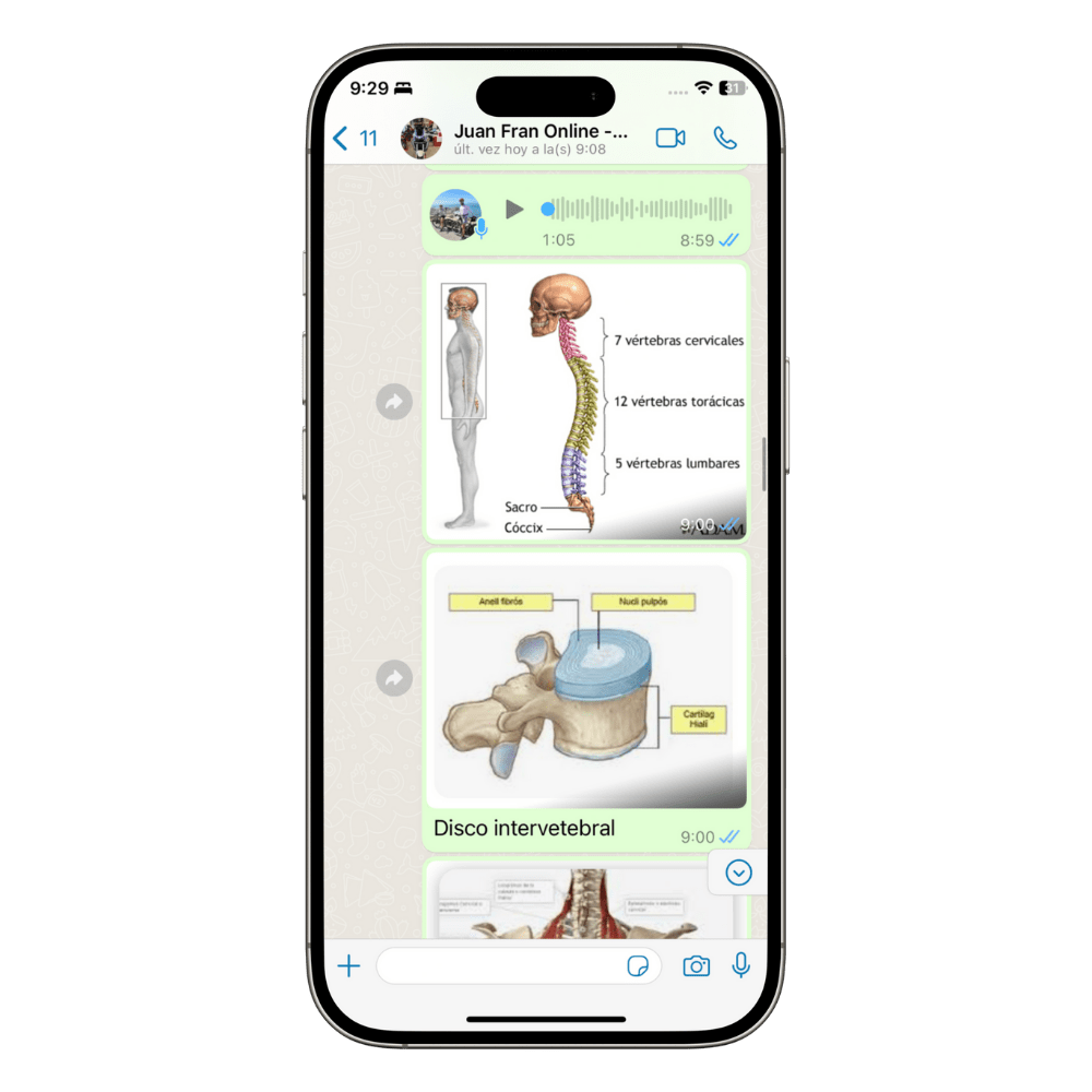 entrenador personal online 81-min
