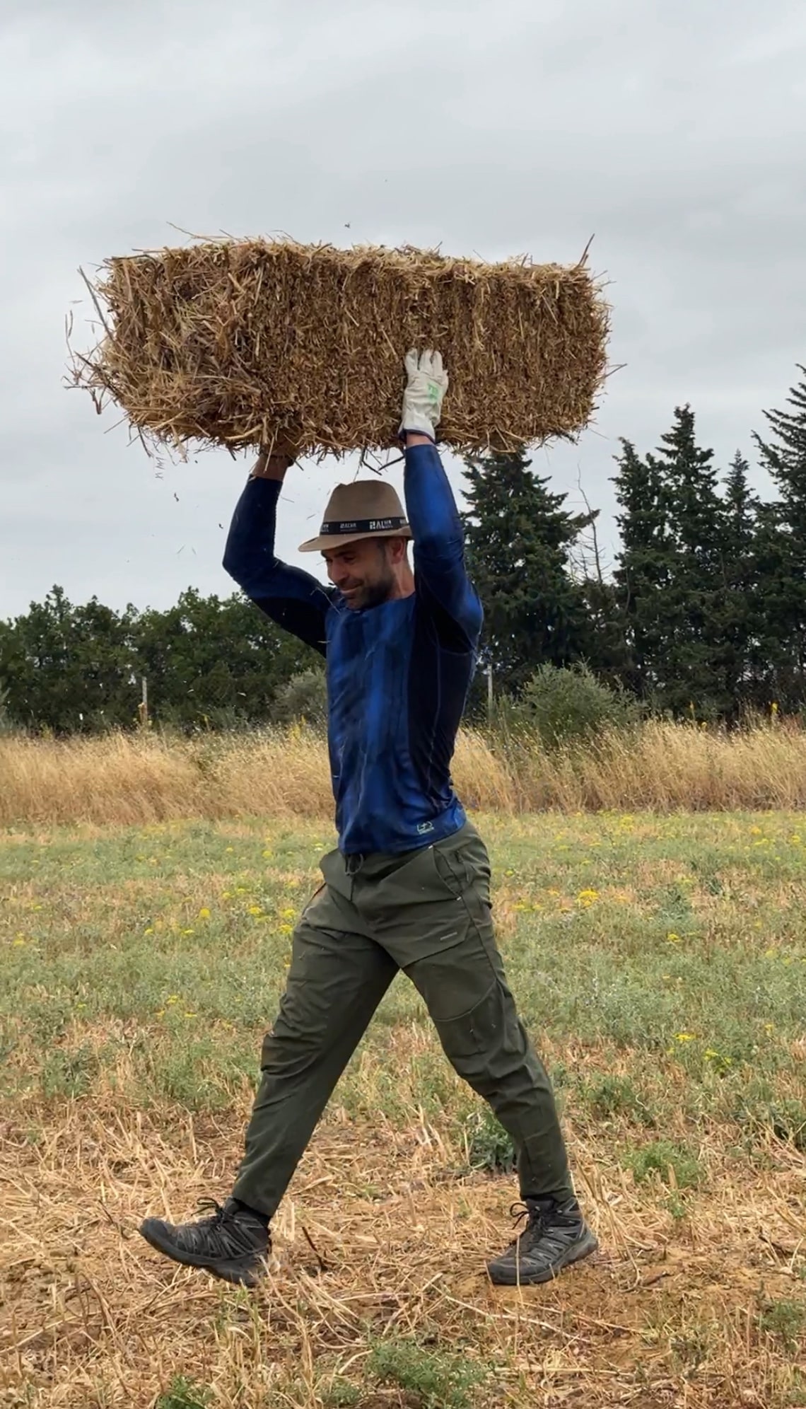 agrofitness