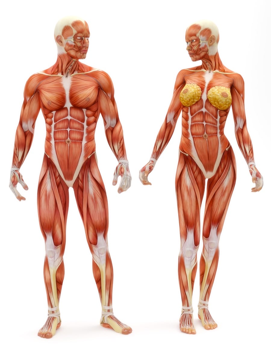 QUÉ PASA EN TU CUERPO CUANDO EL ENTRENAMIENTO SE VUELVE UN HÁBITO