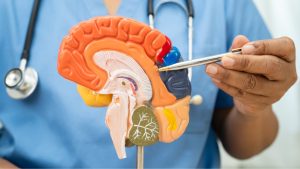 entrenamiento de fuerza y alzheimer