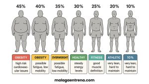 como definir abdominales