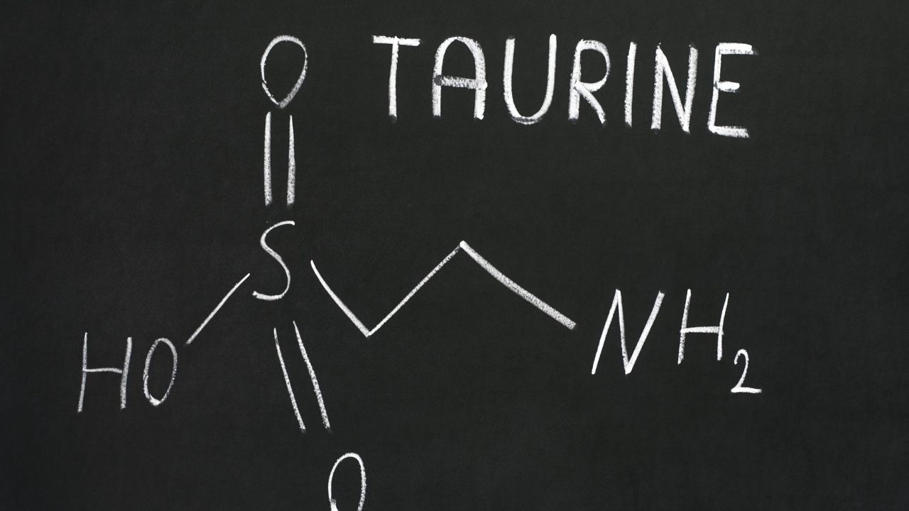 el suplemento taurina